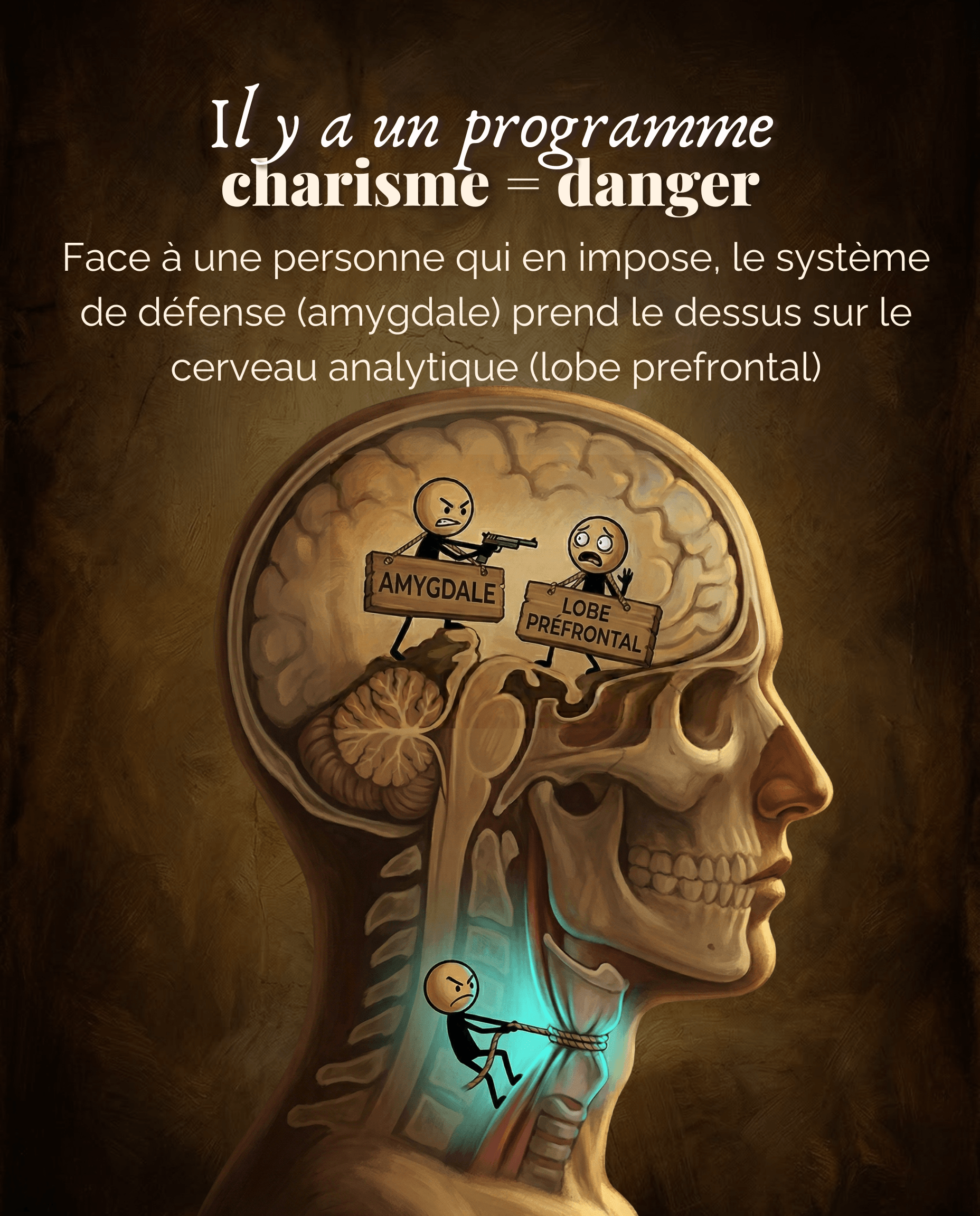 Tu perds ta voix - Slide 7